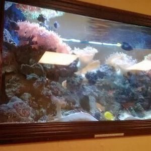 Meet your Posher, Silvia